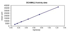 Eurofins DiscoverX DCAMKL2 Protein, Active 10 &mu;g | Buy Online | Eurofins DiscoverX | Fisher Scientific